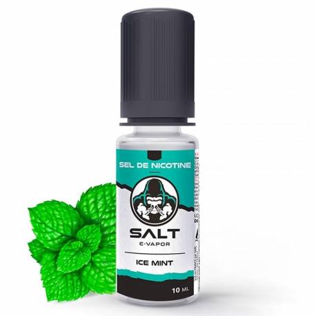 Ice Mint Salt E-Vapor - 10 ml
